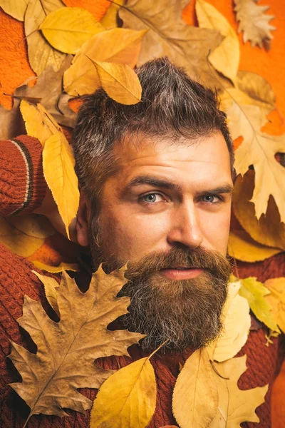 Hipster o chico barbudo en otoño sobre fondo naranja . — Foto de Stock