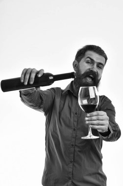 sakallı adam hipster şarap şişesi, kahverengi gömlekli cam ile