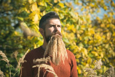 Hipster veya sonbahar doğa açık sakallı adam.