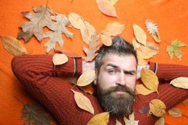 adam sonbahar yaprakları ve sakal