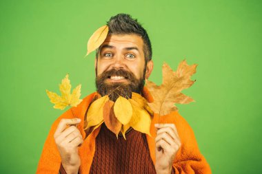 Berber ve Kuaför, yaprakları sakal.