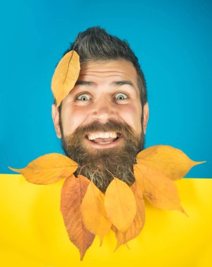 Berber ve Kuaför, yaprakları sakal.