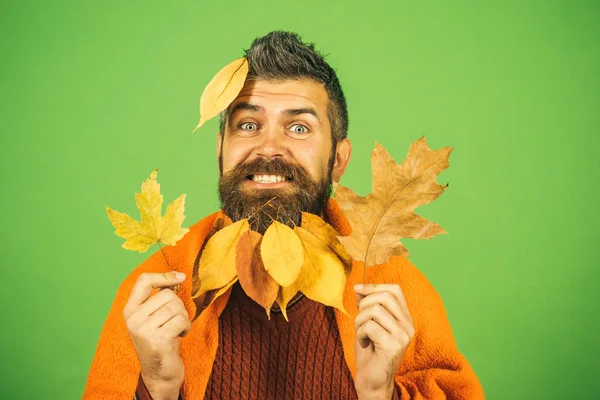 Berber ve Kuaför, yaprakları sakal.