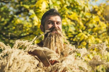 Berber ve Kuaför, spikelet sakal.