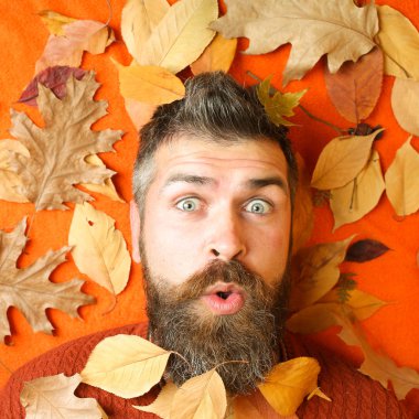 Berber ve Kuaför vasıl geçmiş bırakır.