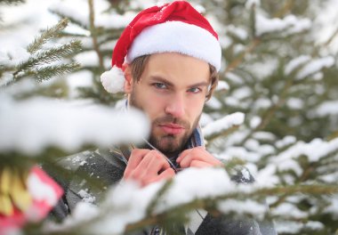 Maço kar ormandaki sakallı yüzü ile