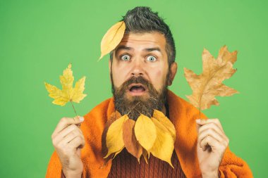 Doğal sarı sonbahar adamla sakal ekose içinde bırakır..