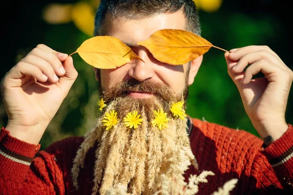 Hombre con barba de espiguilla natural otoño soleado . — Foto de Stock