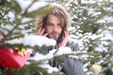 Maço kar ormandaki sakallı yüzü ile