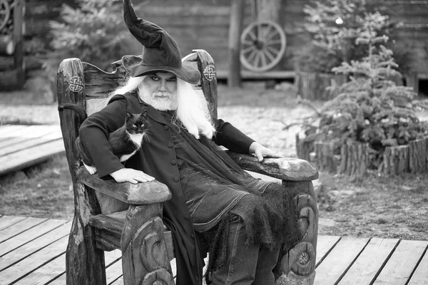 Evil wizard with cat