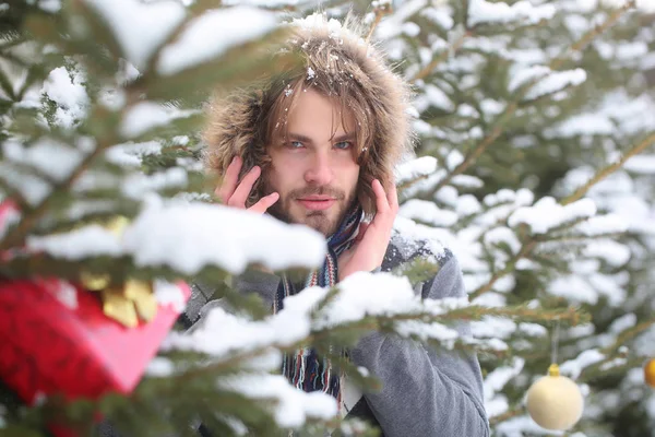 Maço kar ormandaki sakallı yüzü ile