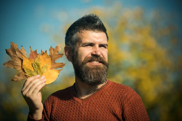 Saison und Herbstblätter. — Stockfoto