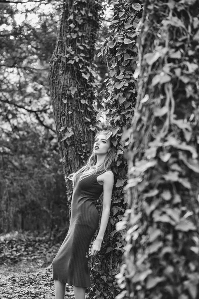 숲에서 관능적인 여자 — 스톡 사진