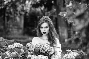 Ortanca çiçek güzel kız