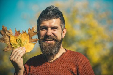 sonbahar yaprakları buket ile el adam ve sakal