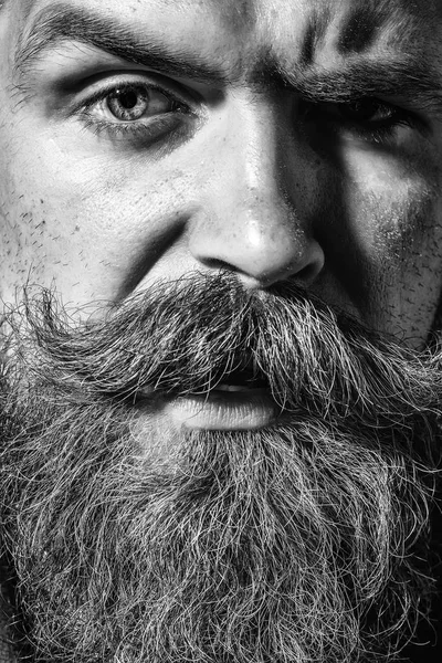 Komoly szakállas ember csípő — Stock Fotó