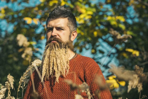 Barbe à épillets chez le coiffeur et coiffeur . — Photo