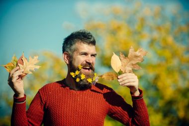 Berber ve Kuaför, karahindiba sakal.