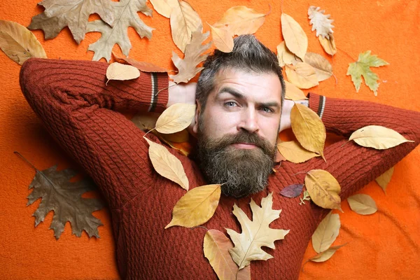 Berber ve Kuaför vasıl geçmiş bırakır.