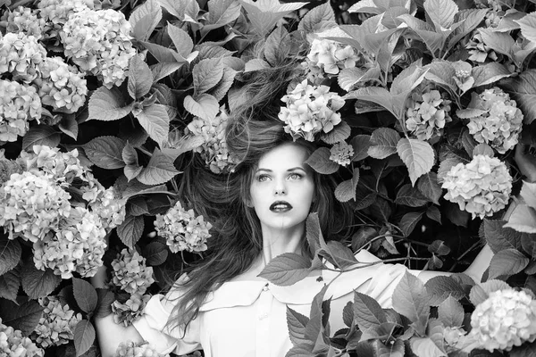 Söt tjej i hydrangea blommor — Stockfoto