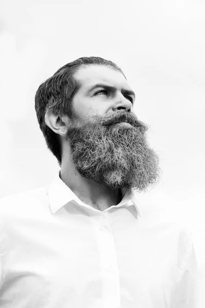 Barbudo con barba azul — Foto de Stock