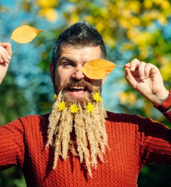 Berber ve Kuaför, spikelet sakal.