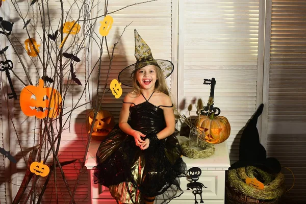 Kid in witch hat and costume sits near scary branches