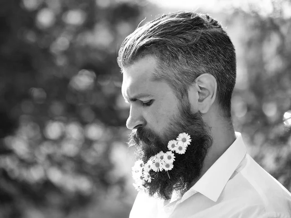 Homem bonito com flores na barba — Fotografia de Stock