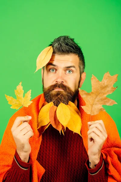 Hombre con caída amarilla natural deja barba en cuadros . — Foto de Stock