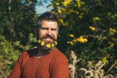 Berber ve Kuaför, karahindiba sakal.