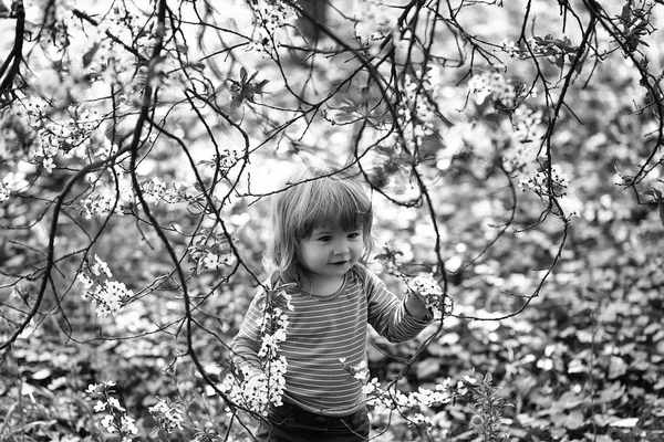 Kleiner Junge mit Blüte — Stockfoto