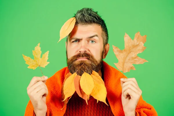Hipster o chico barbudo en otoño sobre fondo verde — Foto de Stock