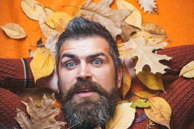 Berber ve Kuaför vasıl geçmiş bırakır.