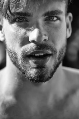 Şaşırmış sakallı genç adam