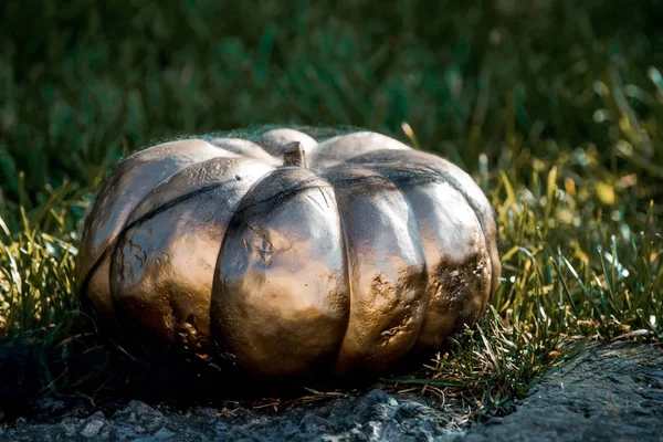 Halloween pumpkin on grass — Stock Photo, Image