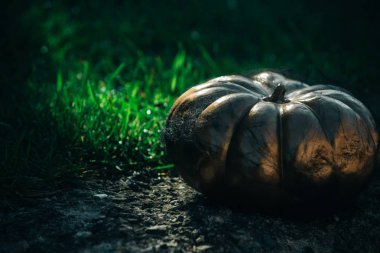 Cadılar Bayramı altın kabak spiderweb.