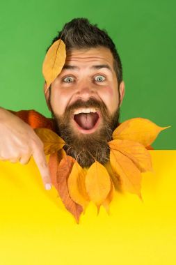 Adam doğal sarı sonbahar yaprakları sakal tutun kağıt ile.