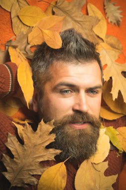 Berber ve Kuaför vasıl geçmiş bırakır.