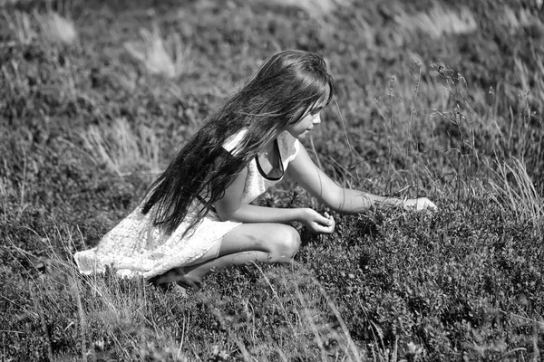 Girl in valley — Stock Photo, Image