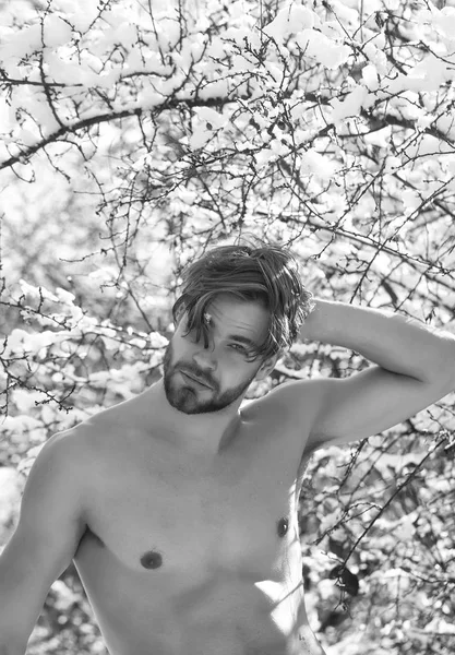 Feliz hombre musculoso en el bosque de invierno — Foto de Stock