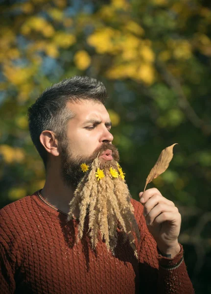 Hipster 또는을 자연 야외에 수염된 남자. — 스톡 사진
