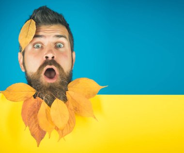 Doğal sarı düşüşlü adam sakal bırakır.