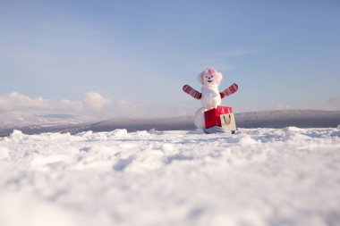 Pembe peruk ve mittens hediye paketi ile kardan adam.