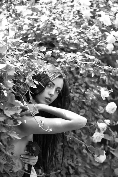 バラの茂みの近くの赤い帽子でセクシーな女性 — ストック写真
