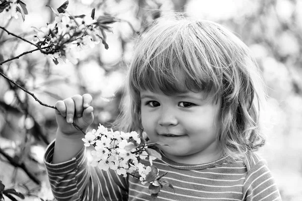 Liten pojke med blossom — Stockfoto