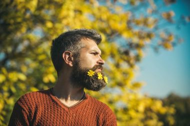 Güneşli doğal çiçek sakallı adam düşmek.