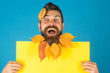 Adam doğal sarı sonbahar yaprakları beardn ve güzellik.