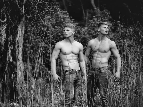 Сексуальные мускулистые близнецы — стоковое фото