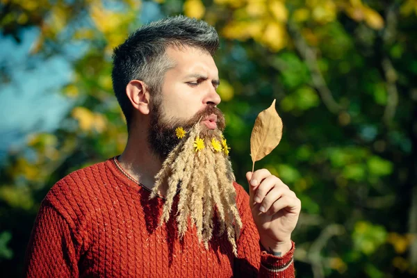 Homem com folhas de outono e barba de espigueta e dente-de-leão s — Fotografia de Stock