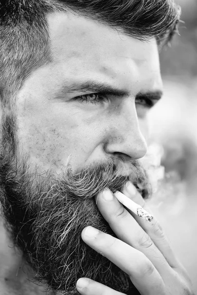 Hombre barbudo fruncido fumando cigarrillo — Foto de Stock